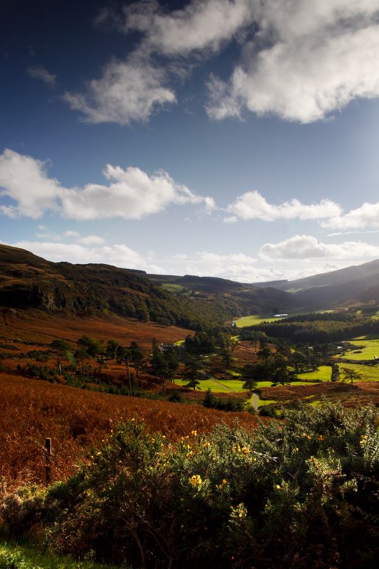 Valley in Portrait: Valley containing Lough Dan, Co. Wicklow, Ireland.