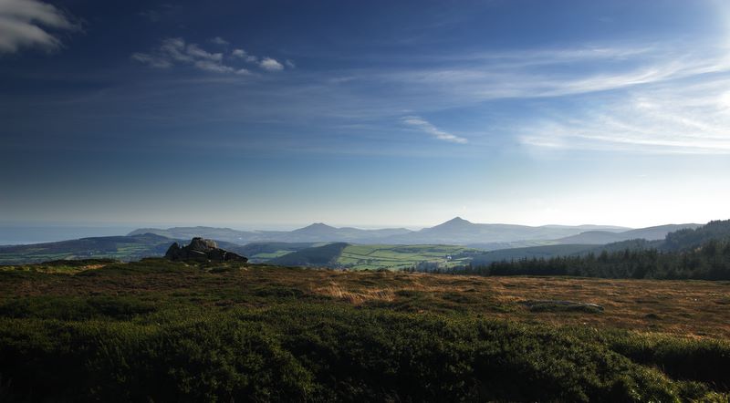 Heather and Haze: View of South Dublin coast from Three Rock Mountain, South County Dublin, Ireland.